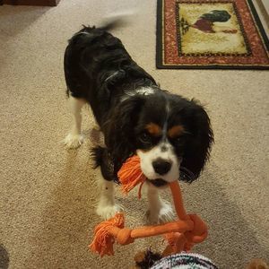 Meet your Posher, Sandy